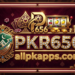 PKR656 Game Logo