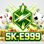 SK E999 APK download official mobile gaming app interface dashboard